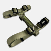 Peitoral para Cachorro H Aquarela Pistache